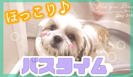 【シーズー】温泉気分？♡犬用入溶剤でリラックスする子犬♪【208日目】