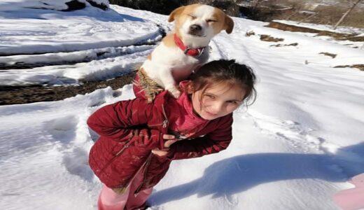 犬を背負って獣医を訪ねた少女。犬の様子が心配で雪の中を歩き続ける少女の純粋さに涙が溢れる【感動】