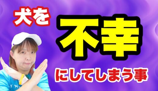 犬を不幸にしてしまう事　知らずにやってしまっているかも⁉ 【犬との暮らし・しつけ方】