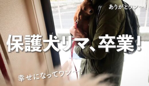 もう保護犬じゃない、里親さんご家族のもとへ！おめでとう＆ありがとう。