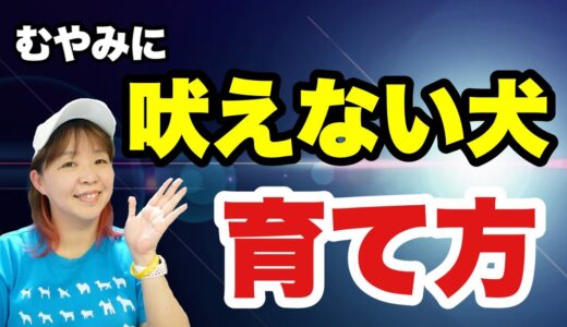 【犬 吠える】この先むやみに吠えない犬に育てるには・・？