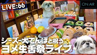 ライブ66.シーズー犬てんぽと祝う ヨメ生舌祭 2021/03/28