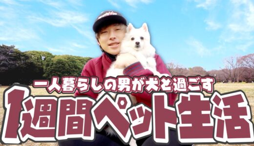 家族が増えました...！1週間一人暮らしの男が犬と生活したらどんな変化が現れるのか？