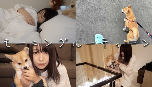 犬と2人暮らしの19歳女子のモーニングルーティーン【Morning Routine】