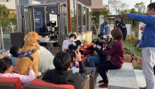 ピレ邸に遊びに行ったらYouTube犬のオフ会みたいになりましたw