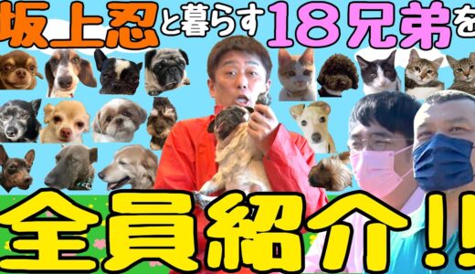 【坂上家の１８兄弟さんを全員紹介！】さらに、新たな兄弟も初出し！