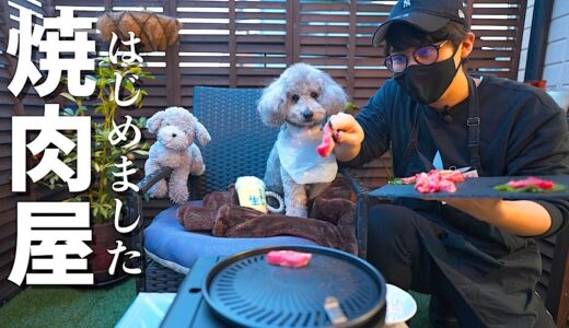 🐶【コント】犬と自宅で焼肉屋さんごっこしたら楽し過ぎたw【トイプードル】