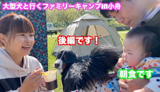 【犬とお出かけ】ファミリーキャンプin小舟キャンプ場後編　　バーニーズマウンテンドッグ　 bernese mountain dog