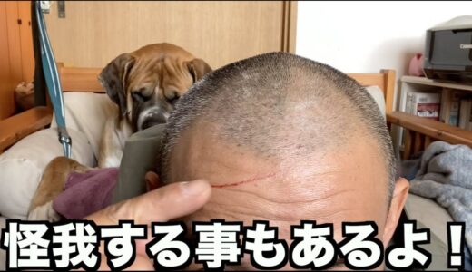 大型犬を迎える覚悟はできてますか？