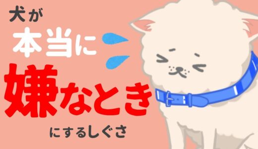 もうイヤだ！犬が本当に嫌がっている4つのサイン