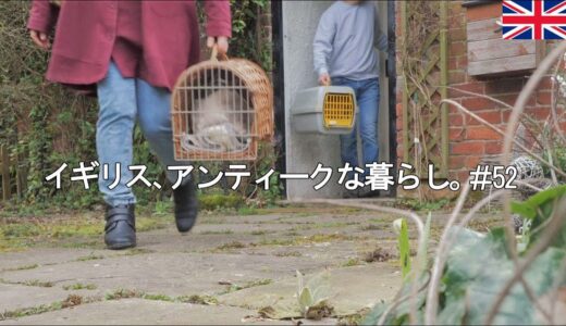 #52 田舎暮らし｜犬猫の春のルーティン🌸古民家の夫婦の晩酌【イギリス、アンティークな暮らし。】vlog