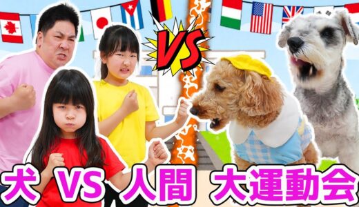 【対決】犬VS人間大運動会！果たして勝つのはどっち？  - はねまりチャンネル