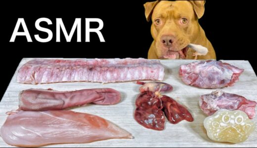 【ASMR】生肉を食べ過ぎて、犬の様子がおかしくなりましたw