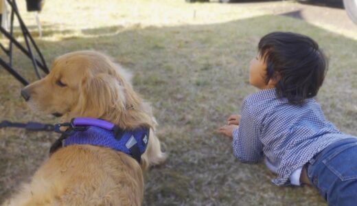 少年と大型犬の最強コンビが可愛すぎた・・・