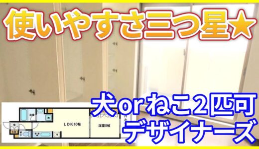 【犬かねこが2匹も飼える！】使いやすさは星3つ！人気デザイナーズ物件・住んでみたいぜ【1LDKを内見】