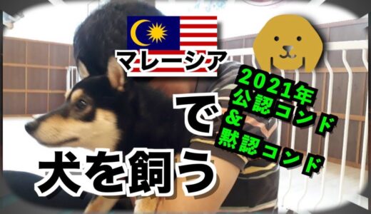 2021最新 犬を連れて部屋探し。マレーシアで犬を飼う大変さとは？犬公認、犬黙認コンドや推奨エリアを教えます