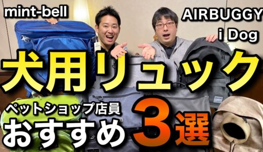 【犬用リュックおすすめ３選！】ペットショップ店員が徹底レビュー＆解説！