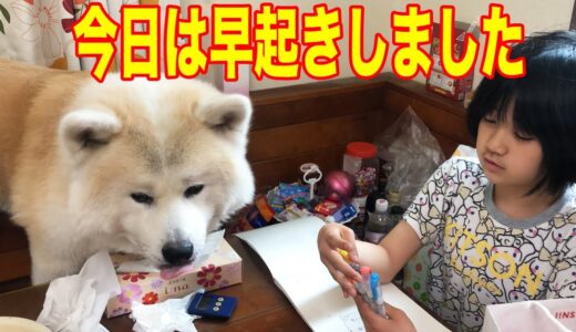 奇跡の早起き・秋田犬そうすけ【VLOG】