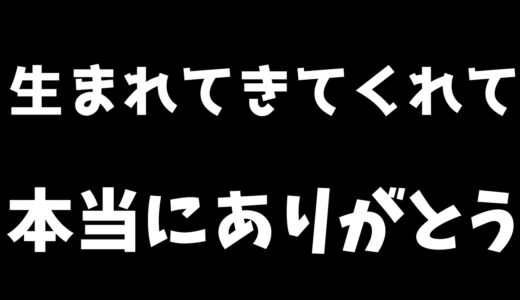 かけがえのない存在である老犬チワワと大切な思い出作りをしてみました