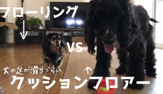 犬の足が滑らないクッションフロアーを半分敷いて比べてみました