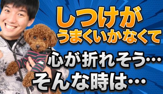 【育犬ノイローゼ】しつけがうまくいかなくて心が折れそう…そんな時は！？