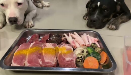 Can Dogs eat RAW PORK? 🐷🐖🥩[ASMR] MUKBANG 犬が生の肉を食べる[咀嚼音] RAW Feeding