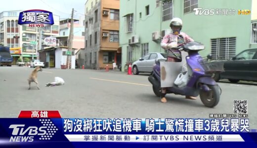 #獨家 小心惡犬!男騎車載3歲兒遭狗追 失控衝對向撞轎車｜TVBS新聞