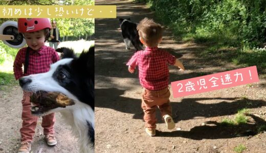 はじめての犬の散歩に大興奮な2歳児ハーフ #Shorts