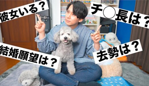 🐶【NG無し】犬とアラサー男が視聴者さんからのご質問にお答えします！【トイプードル】