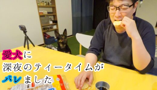 シェパード犬が寝に行ったので飼い主だけで深夜のティータイムをしてたらバレました【German Shepherd】 My Dog Just Noticed Our Midnight Tea Party