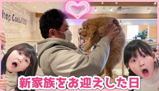 【感動】新しい家族が増えた日の事！VLOG - はねまりチャンネル