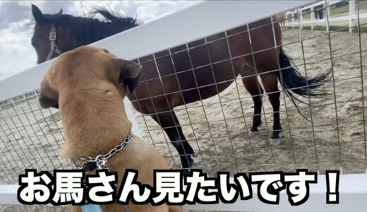 犬連れ動物園！ワールド牧場