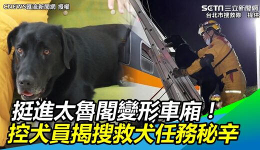 挺進太魯閣變形車廂！控犬員揭搜救犬任務秘辛｜三立新聞網 SETN.com