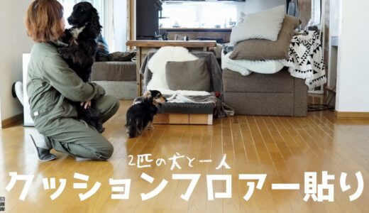 犬の足が滑らないクッションフロアーを貼っています