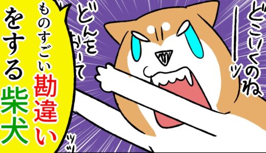 【犬まんが】ものすごい『勘違い』をする柴犬