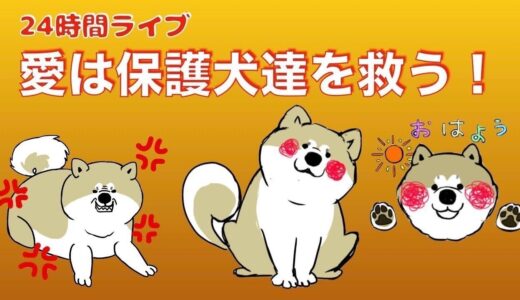 【最終回】老いた元凶暴秋田犬を見守るライブ