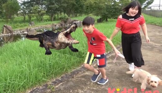 ワニ 食べられるー!! 犬の散歩 手洗い こうくんねみちゃん