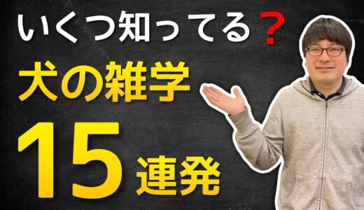 全部知ってたら犬マニア！？犬の雑学１５連発！あなたはいくつ知ってる？