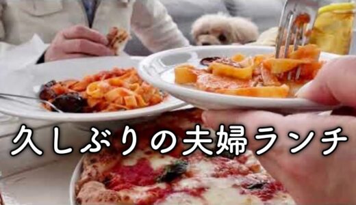 【シニア夫婦の日常】犬も一緒にランチと散歩〜足腰が弱ってる！