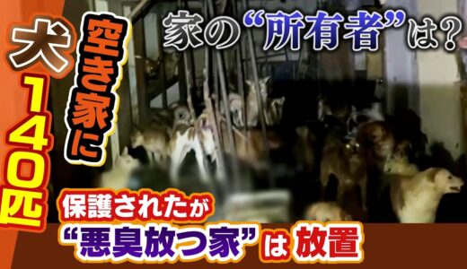 【特集】“空き家”で飼われていた「140匹の犬」犬は保護されいなくなったが…家はその後も１年近く放置されて“悪臭漂う”　住民憤懣（2021年5月3日）