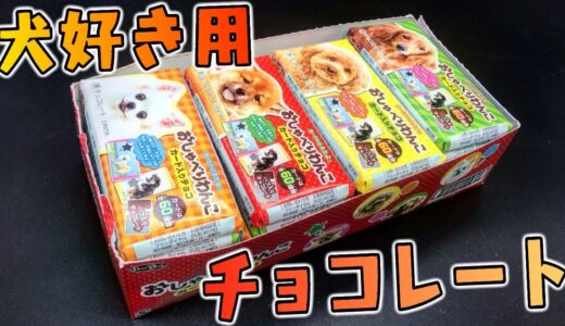 犬好きにはたまらんすぎる犬チョコのカードがメッチャメチャいい！！！！！！！！！