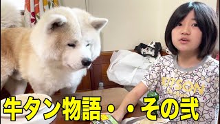 秋田犬そうすけ君・牛タン物語その弐