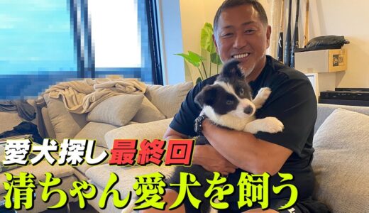 自宅初公開!!清ちゃん愛犬を飼う