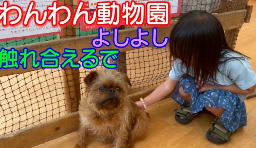 【わんわん動物園】2人とも犬に触れたかな？男女双子生後2歳6ヶ月The wonderful place where a dog can come in contact