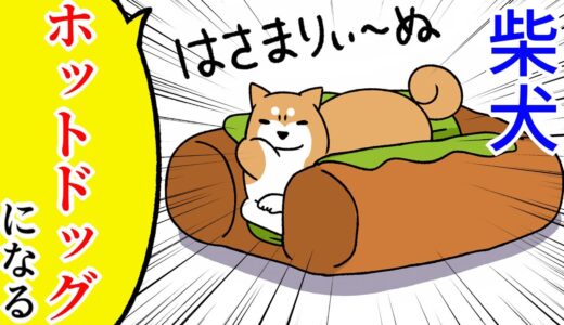 【犬まんが】柴犬流『ホットドッグ』活用法