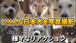 6種類の日本犬を激写！犬種でのリアクションの違いに藤岡弘、一家が挑戦してみた！