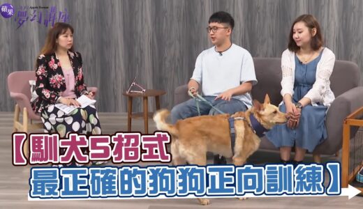 馴犬5招式 最正確的狗狗訓練 | 台灣新聞 Taiwan 蘋果新聞網