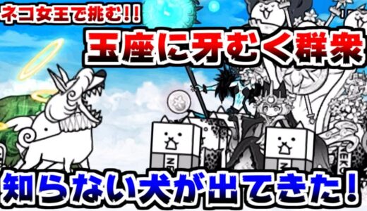 【にゃんこ大戦争】見知らぬ犬登場！？ネコ女王で玉座に牙むく群衆に挑戦！【本垢実況Re#1176】