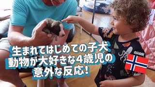 子犬と初対面‼犬に囲まれての一日に密着♡