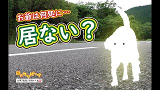 【犬】居ない？山の中のお爺は何処に？